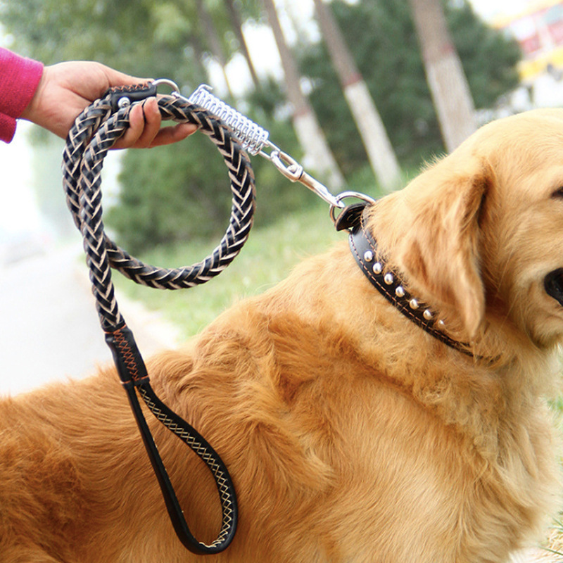 Leather Traction Rope Chain Explosion-proof Punch Collar - Image 8
