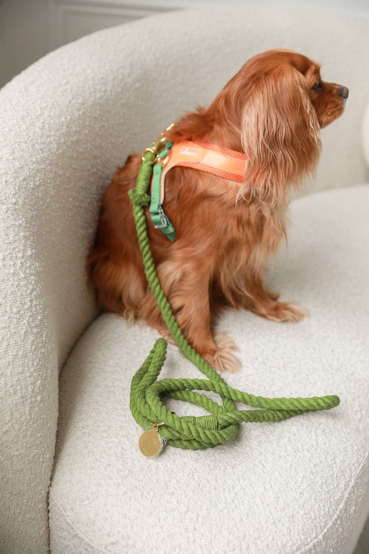 Walking Leads