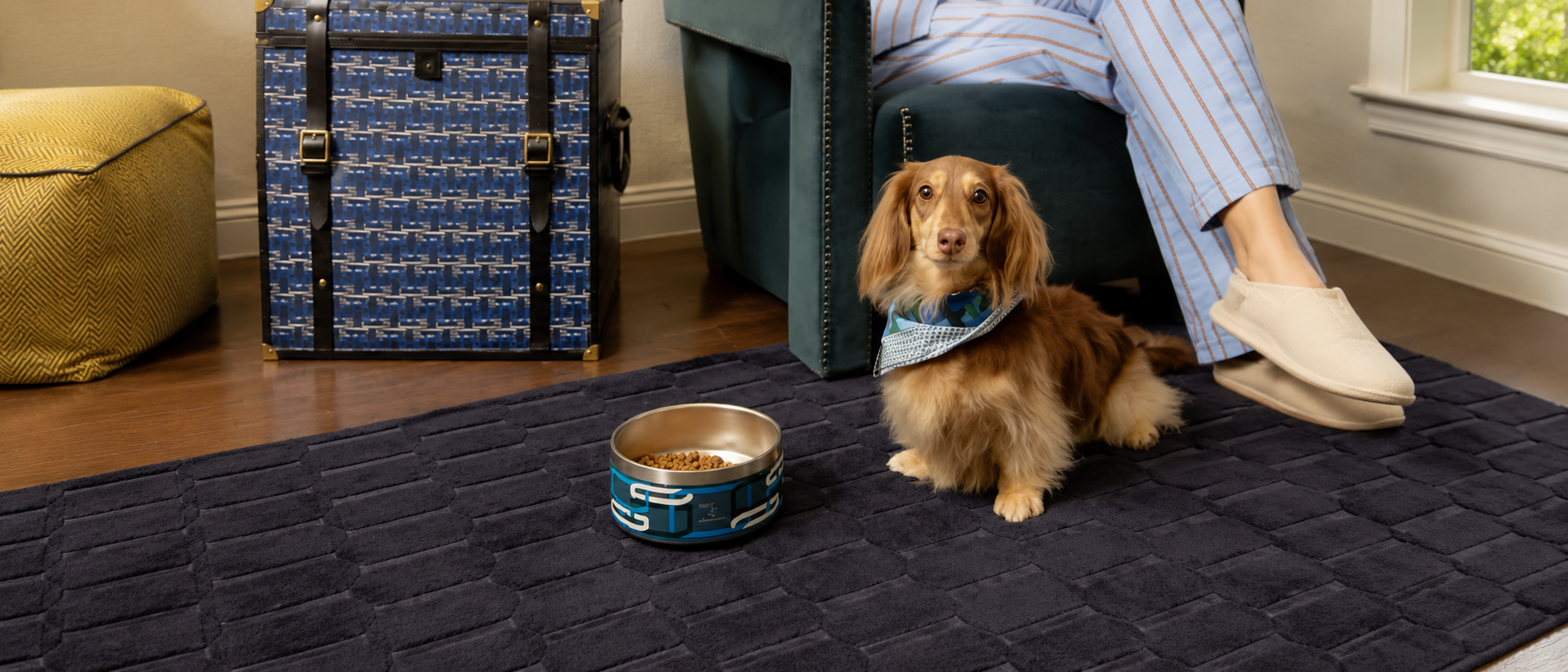 Pet relaxing comfortably at home
