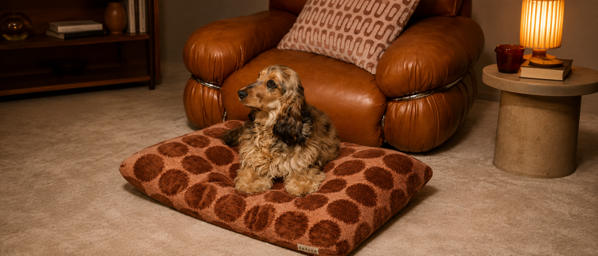 Happy pet at home