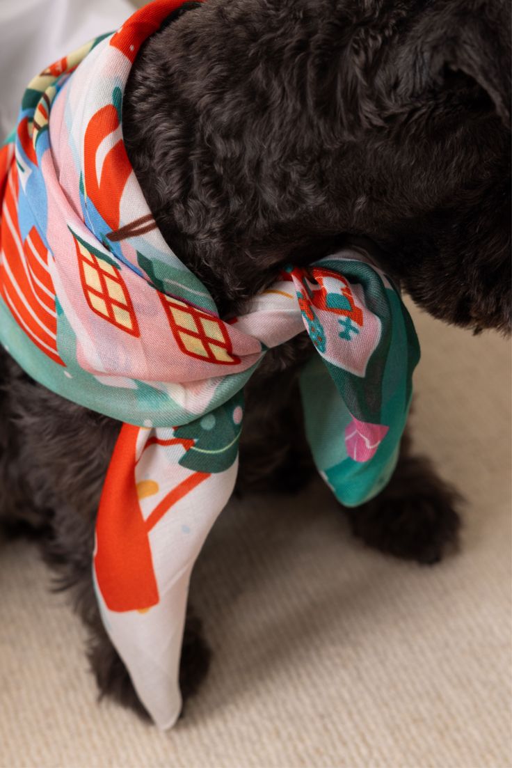 Everyday Collars