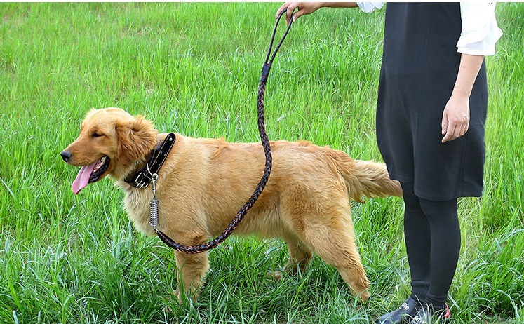 Leather Traction Rope Chain Explosion-proof Punch Collar - Image 4