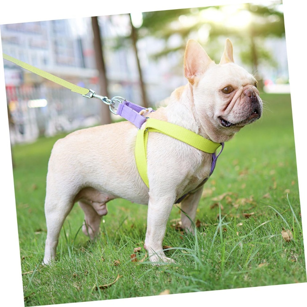 Dog Harness And Leash No Pull Nylon Pet Leashes For Small Dogs French Bulldog Chihuahua Lead Leash And Collar Set For Yorkies - Image 5