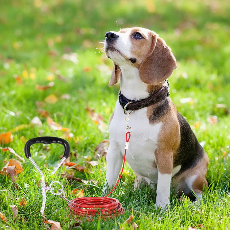 Double Hook Wire Rope Dog Leash - Image 7