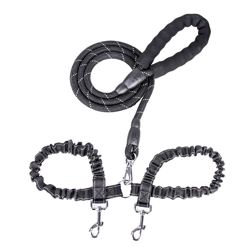 Dogs With One Tow Two Leashes Pets Double Heads