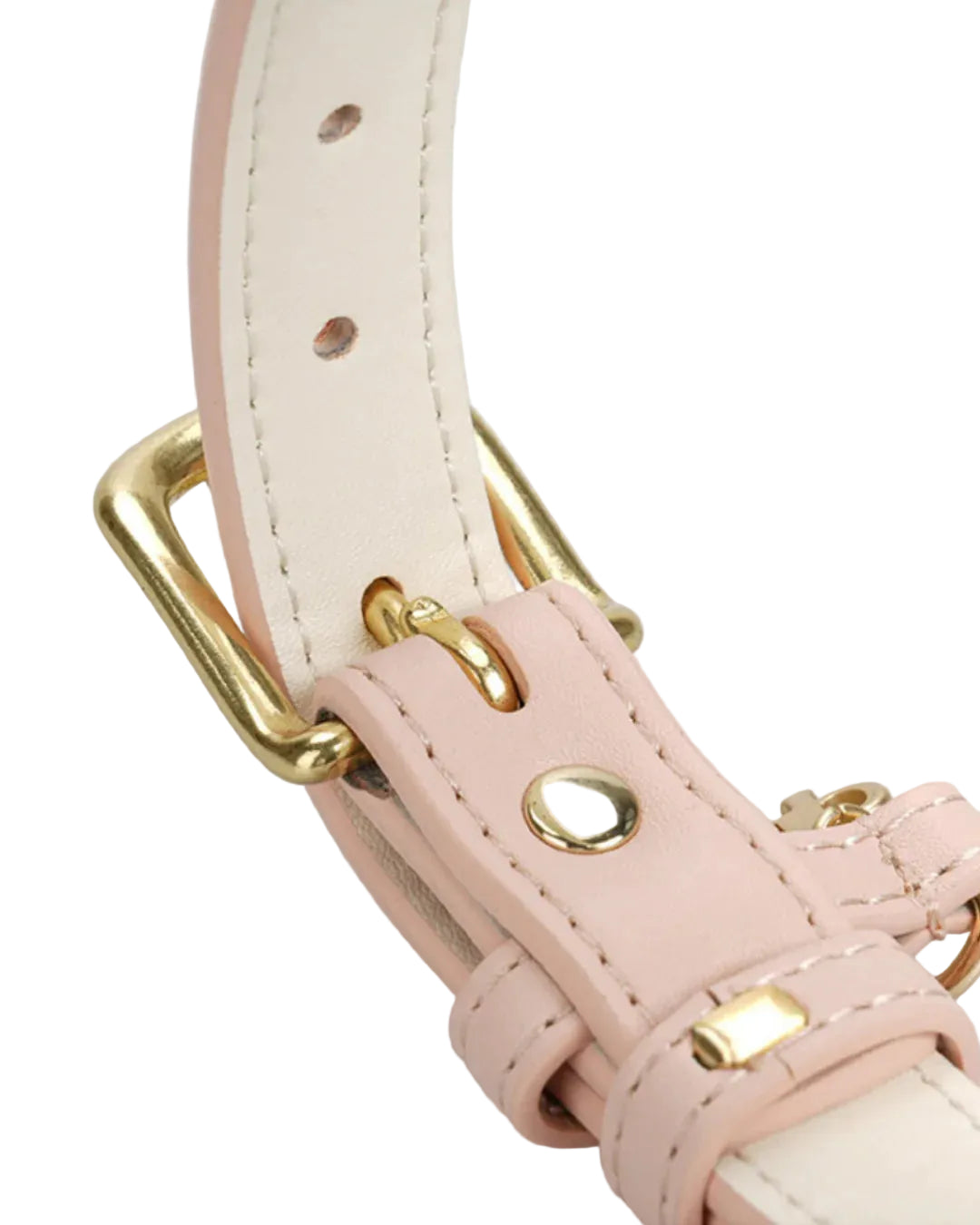 Durable Adjustable Everyday Dog Collar
