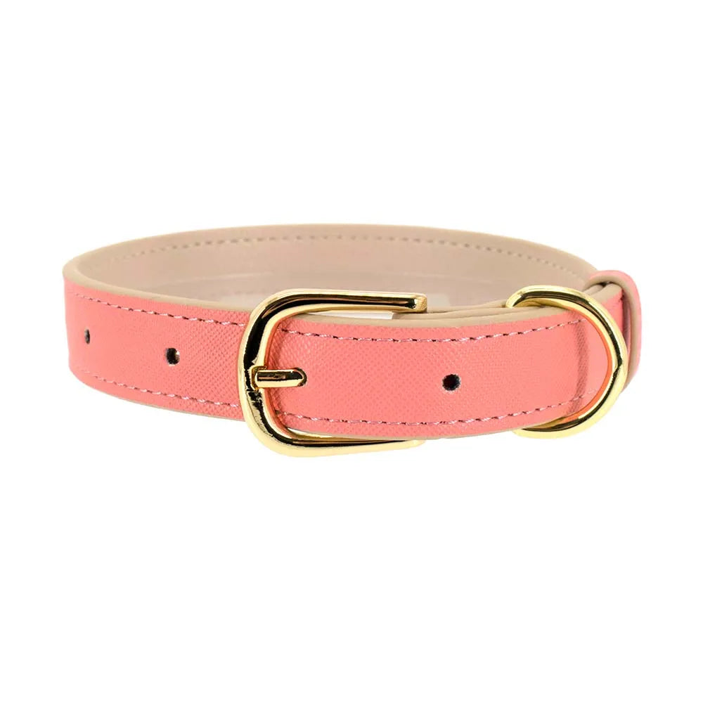 Durable Adjustable Everyday Dog Collar