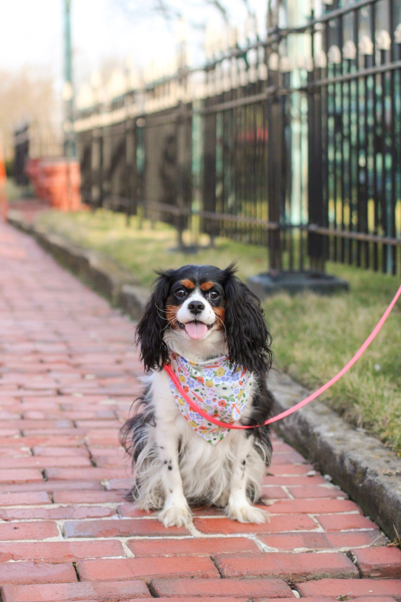Carrot Floral Print Cotton Dog Bandana