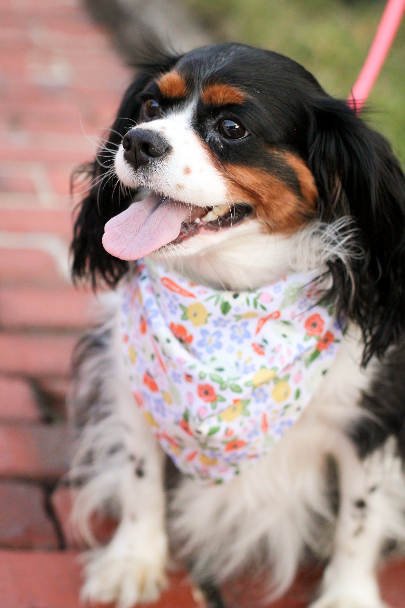 Carrot Floral Print Cotton Dog Bandana