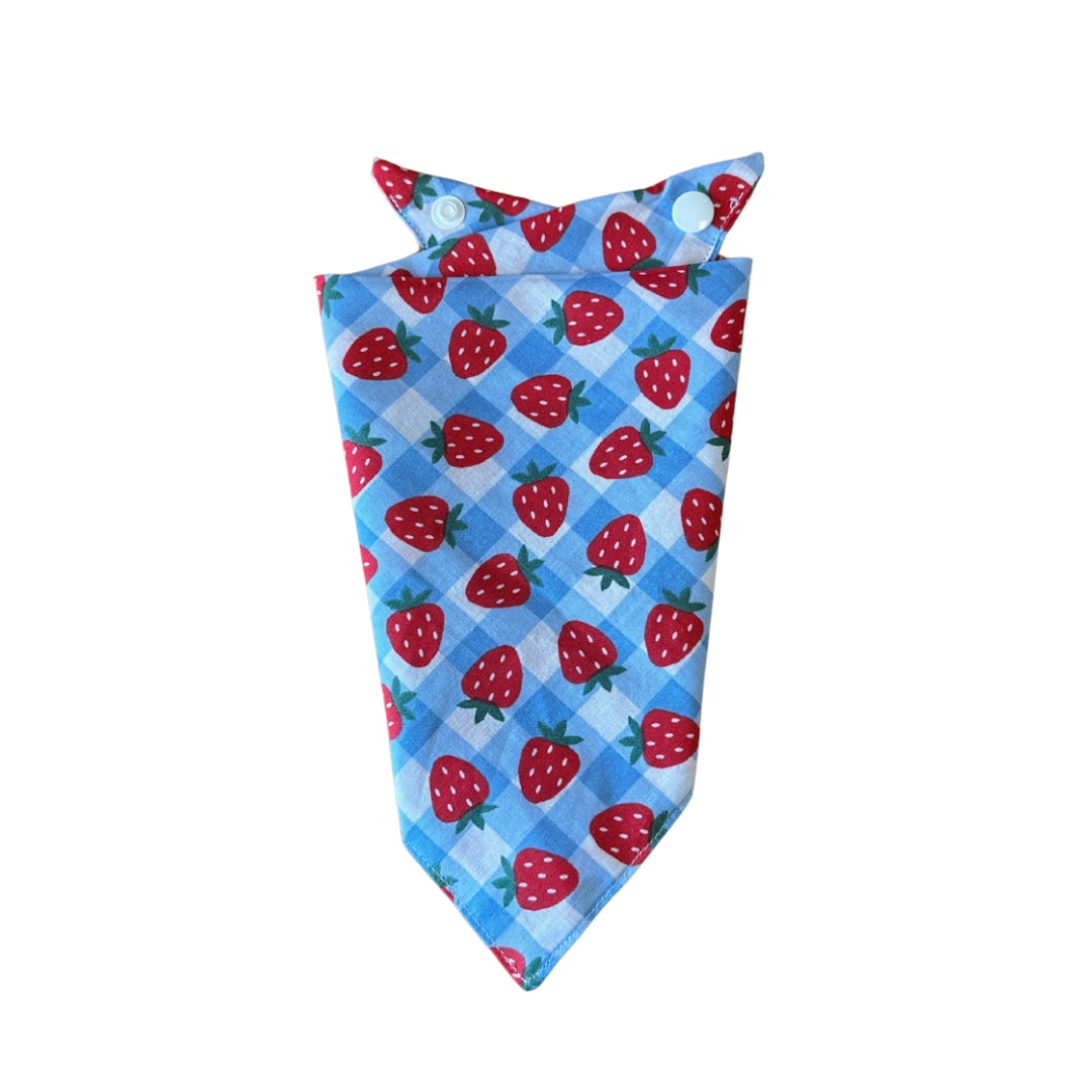 Gingham Berry Print Cotton Dog Bandana