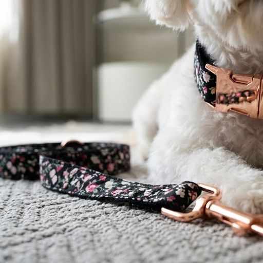Botanical Nylon Collar Blossom Print