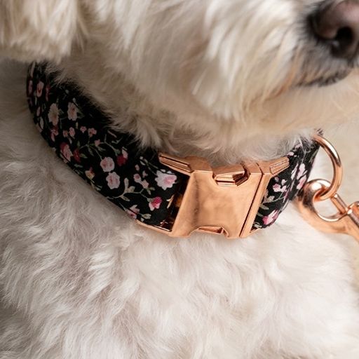 Botanical Nylon Collar Blossom Print