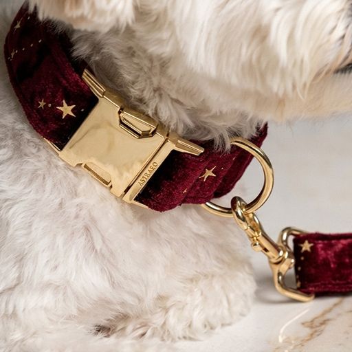 Starry Night Scarlet Red Velvet Dog Collar Leash Set