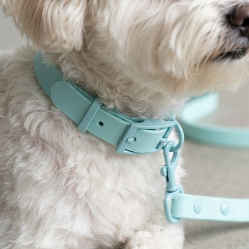 Pastel PVC Dog Collar and Leash Set