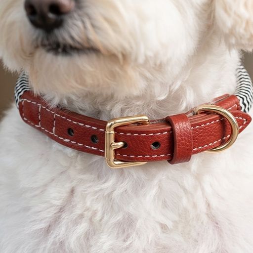 Zigzag Leather Dog Collar Soft