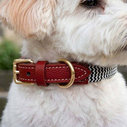 Zigzag Leather Dog Collar Soft