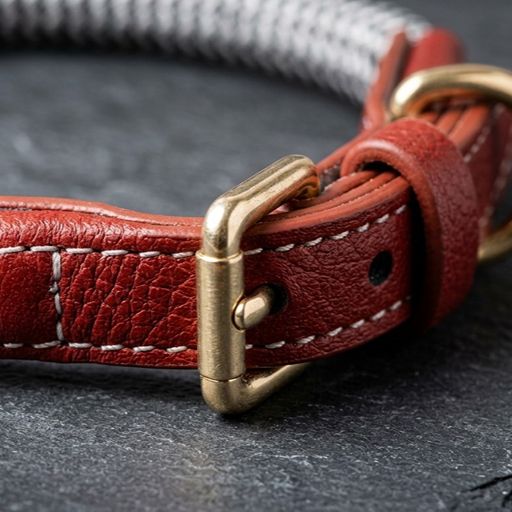 Zigzag Leather Dog Collar Soft