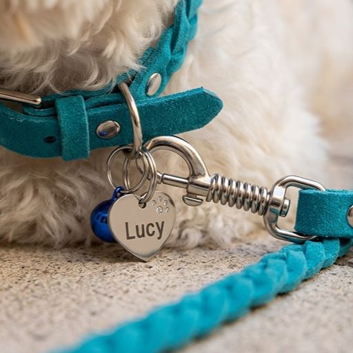 Braided Suede Leather Dog Collar