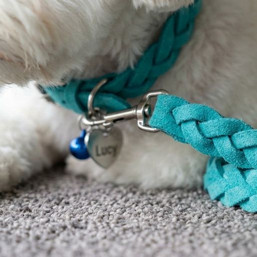 Braided Suede Leather Dog Collar
