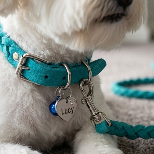 Braided Suede Leather Dog Collar