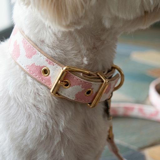 Neutral Pastel Cow Leather Dog Collar