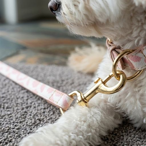 Neutral Pastel Cow Leather Dog Collar