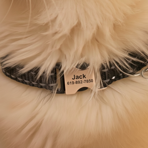 Nylon Reflective Bell Dog Collar