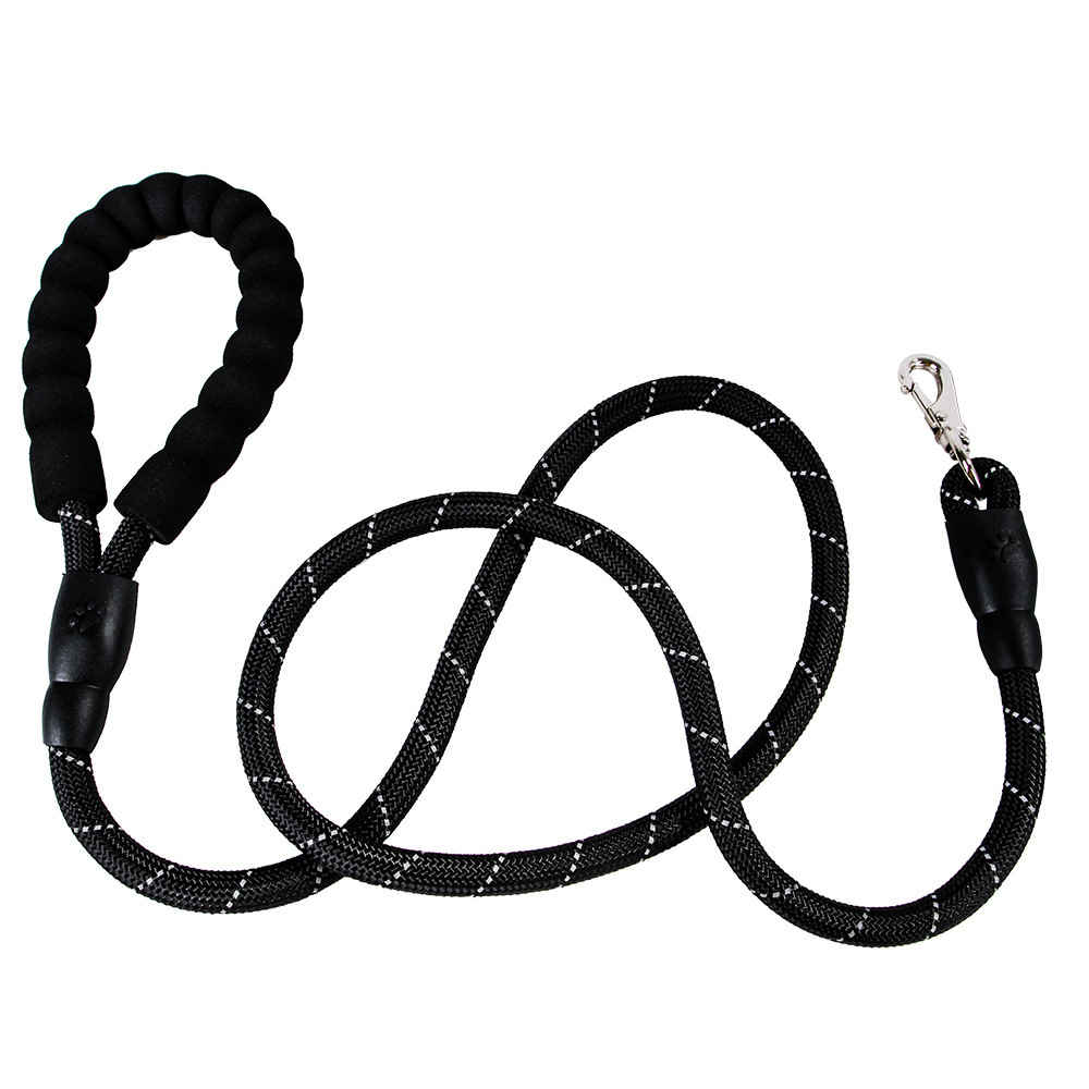 Dogs With One Tow Two Leashes Pets Double Heads - Image 3