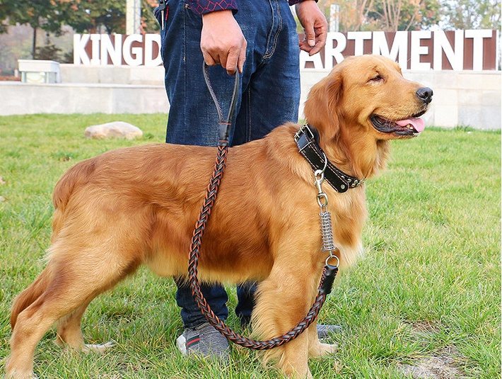 Leather Traction Rope Chain Explosion-proof Punch Collar - Image 3