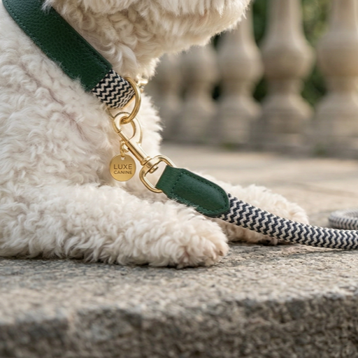 Zigzag Soft Wrap Webbing Collar and Leash Set