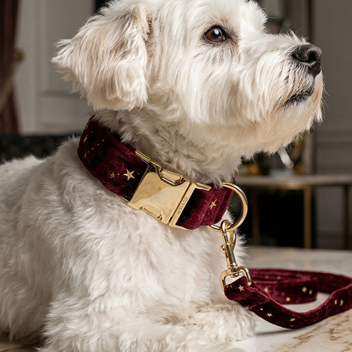 Starry Night Scarlet Red Velvet Dog Collar Leash Set