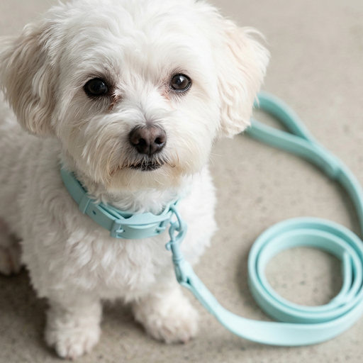 Pastel Shade PVC Dog Collar