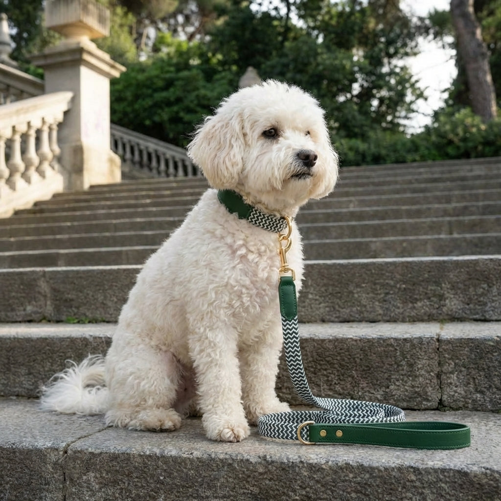 Zigzag Soft Wrap Webbing Collar and Leash Set