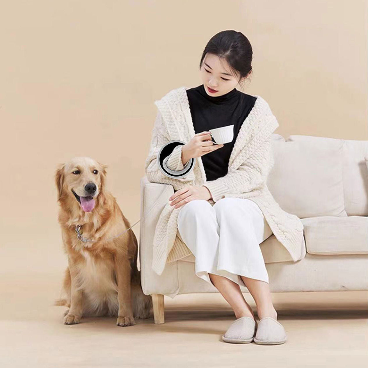 Collar Retractable for Daily Wear