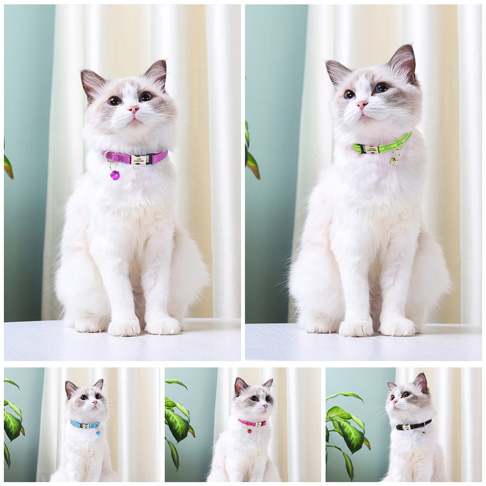 Nylon Reflective Bell Dog Collar