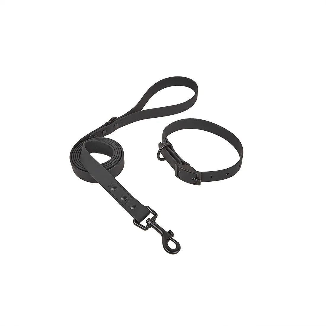 Pastel PVC Dog Collar and Leash Set