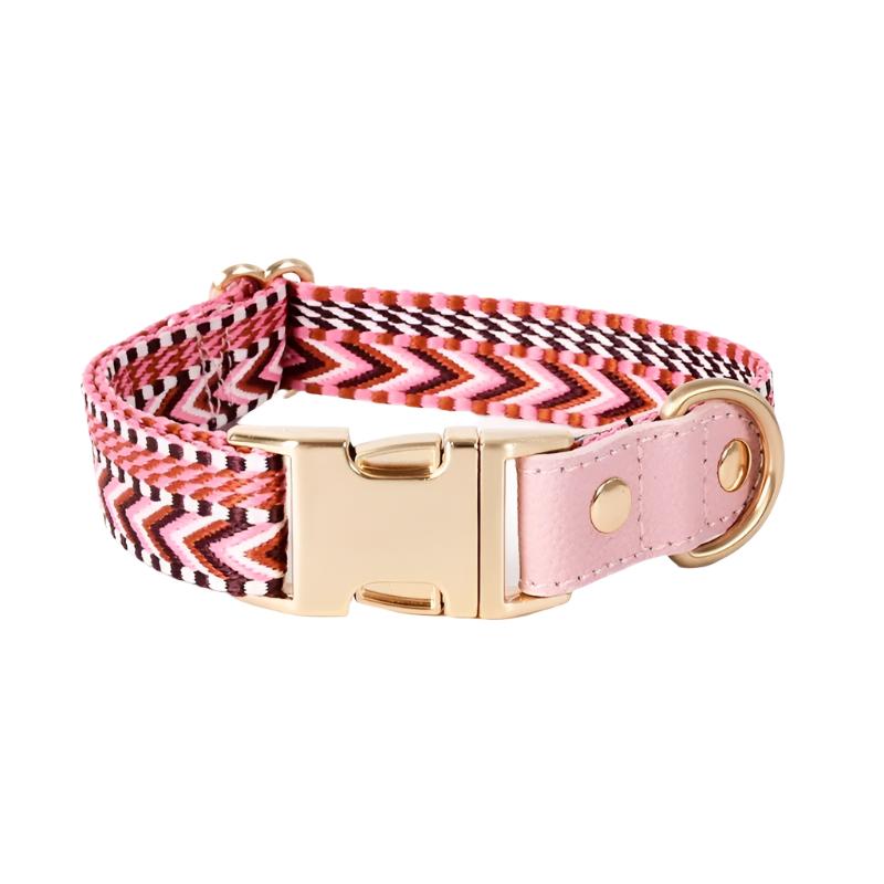 Classic Webbing Leather Dog Collar