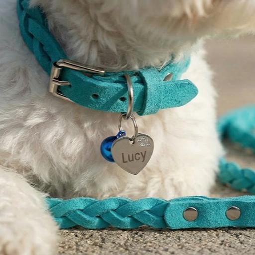 Braided Suede Leather Dog Collar