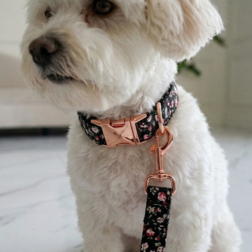 Botanical Nylon Collar Blossom Print